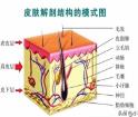 洗臉是門藝術(shù) 雖不值一提 做得好卻有養(yǎng)生作用！